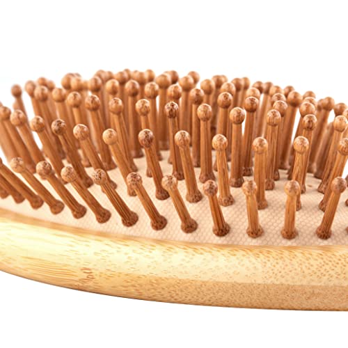 Regrowz Bamboo Paddle Hairbrush with Round Bristles - Detangle Hair & Reduce Hair Breakage - Perfect Hair Care Tool