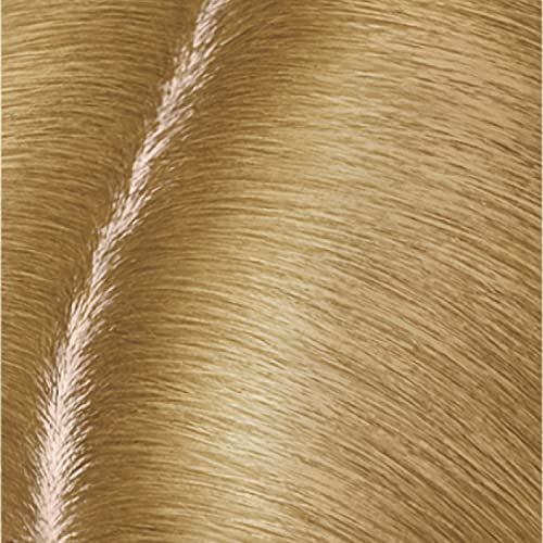 Clairol Root Touch-Up Temporary Concealing Powder, Dark Brown Hair Color, 1 Count