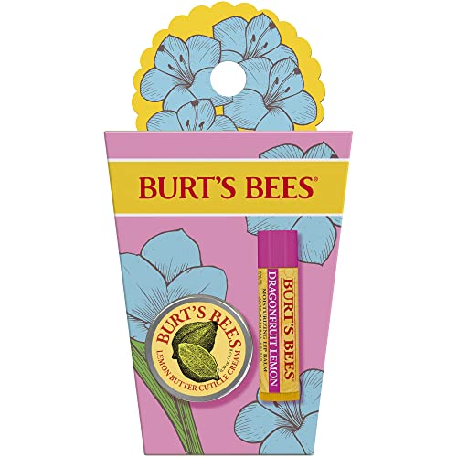 Burt's Bees Essential Gift Set, Lip Balm, Hand Salve, Body Lotion, Foot Cream & Face Cleanser, 5 Travel Size Products