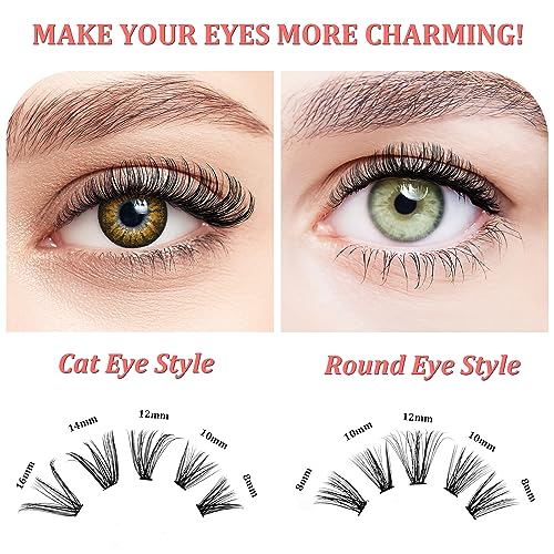 Leipple DIY Lash Extension Kit, Individual Lashes with Lash Glue Bond and Seal, 200 Cluster Lashes 8~16mm Natural Look Lash Clusters False Eyelas