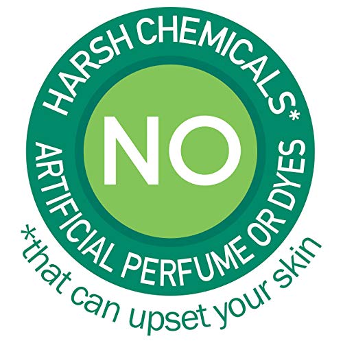 Simple Soothing Facial Toner 6.7 Ounce (198ml) (2 Pack)