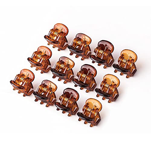 Hair Claw Clip 12 Piece Plastic Mini Claw Hair Clips Small Hair Claw Clips Mini Jaw Clips Hair Accessories for Girls and Women