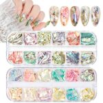 24 Grids Nail Abalone Shell Pieces Nail Glitter Shell Flakes for Nail Art, Wsimily 3D Irregular Abalone Shell Slices Sequins Design Colorful Mani
