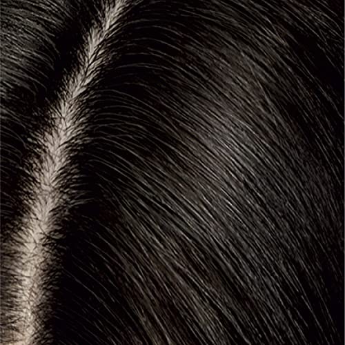 Clairol Root Touch-Up Temporary Concealing Powder, Dark Brown Hair Color, 1 Count