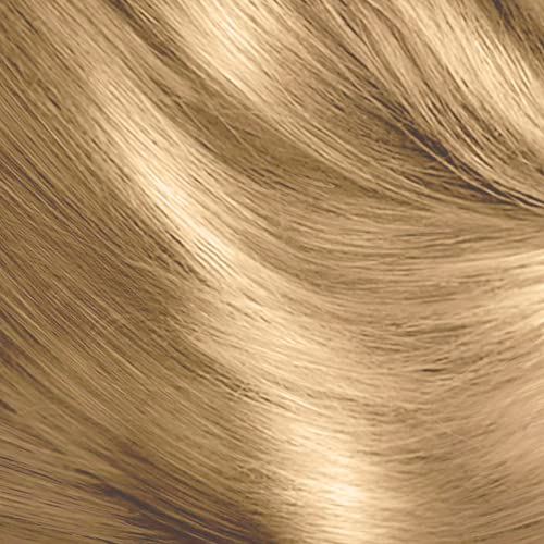 Schwarzkopf Oleo Intense Red Hair Dye, 3-Pack Permanent Oil Colour, No Ammonia, Covers Greys, Burgundy Red 4-23