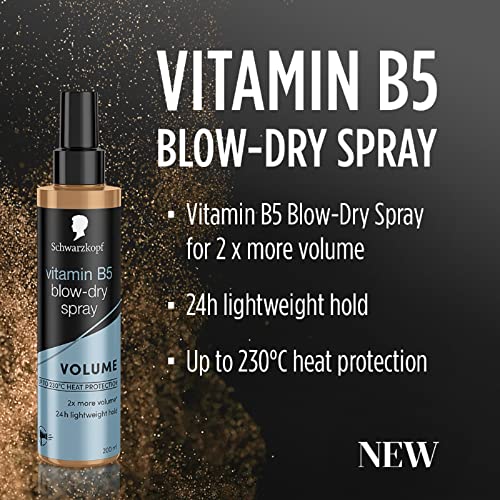 Schwarzkopf Styling Vitamin B5 Blow-Dry Hair Spray, Volume and Shine, 24hr hold, 100°C heat protectant spray, 200ml, Pack of 1