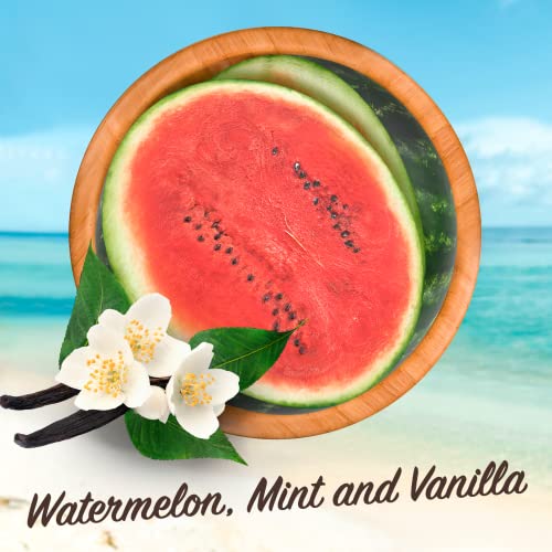 Malibu Sun SPF 30 Lip Balm Sunscreen, Watermelon, Mint and Vanilla, 3 x 5g