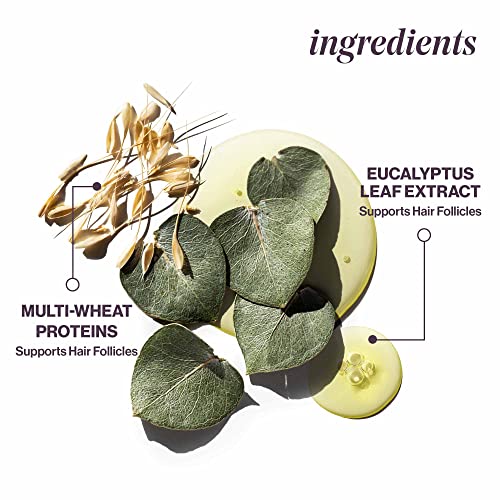 Pureology Pure Volume, Shampoo, For Flat, Fine, Colour-Treated Hair, Adds Weightless Volume, Vegan Formulas, Sulphate Free for a Gentle Cleanse