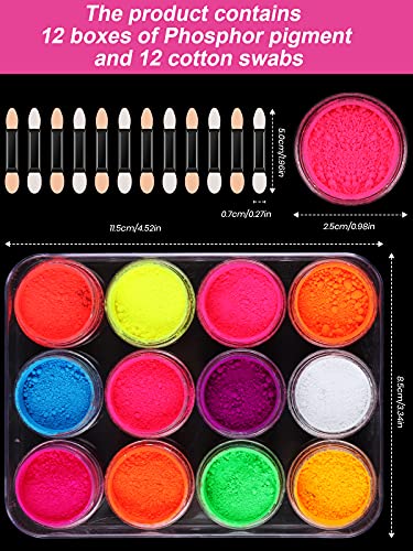 Kalolary 12 Boxes Color Pigment Nail Powder, Neon Color Nail Powder Acrylic Nail Powder Art Gradient Powder Rainbow Nail Glitter for DIY Nail Dec