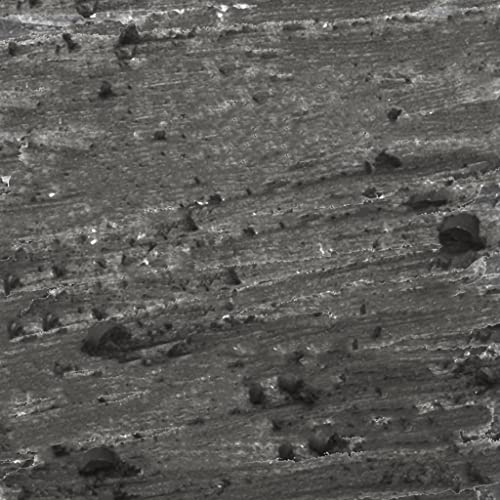 Julep Cosmetic Makeup Pencil Sharpener, Travel Friendly, Easy Cleaning Beauty Sharpener for Eyeliner, Lip Liner and Brow Pencils