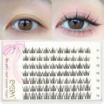 EMEDA Cluster Lashes 70 Pcs DIY False Eyelashes With Tweezers C Curl Individual Lashes 11mm 12mm 13mm 14mm Manga Lashes DIY Eyelash Extensions Th