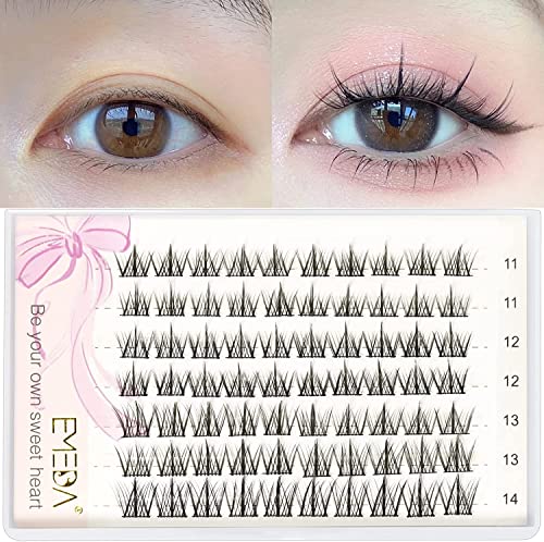 EMEDA Cluster Lashes 70 Pcs DIY False Eyelashes With Tweezers C Curl Individual Lashes 11mm 12mm 13mm 14mm Manga Lashes DIY Eyelash Extensions Th