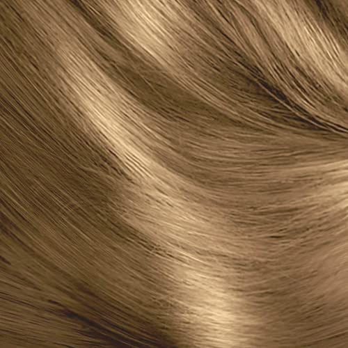 Schwarzkopf Oleo Intense Red Hair Dye, 3-Pack Permanent Oil Colour, No Ammonia, Covers Greys, Burgundy Red 4-23