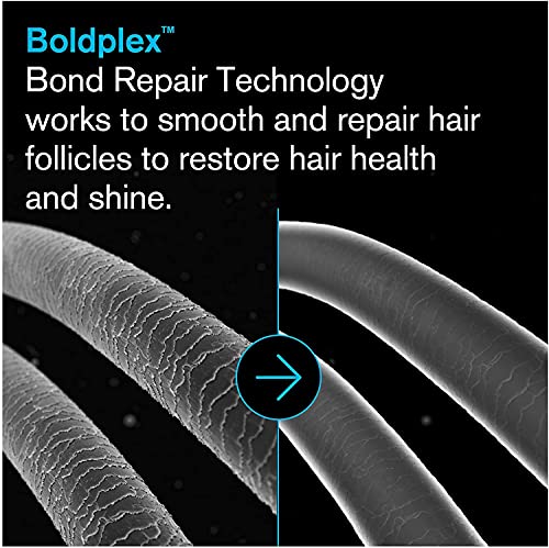 BoldPlex 4 Bond Strengthening Protein Shampoo for Dry Damaged hair - Hydrating Formula for Curly, Dry, Coloured, Frizzy, Broken or Bleached Hair