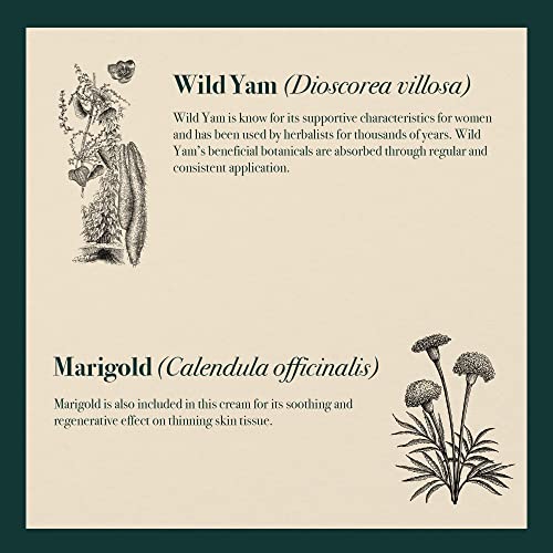 Napiers Vegan Wild Yam and Marigold Cream - Natural Relief for Menopause and Perimenopause Symptoms and Dry Skin - 60 ML (Light Citrus Scent)