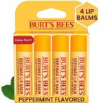 Burts Bees Beeswax Lip Balm Pack, 0.15 oz, 4-Piece