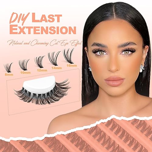 Lash Clusters 200Pcs Individual Lashes DIY Eyelash Extension D Curl Natural Look Wispy Clusters Lash Extension 8-16mm Mix Tray Fluffy Soft Faux M