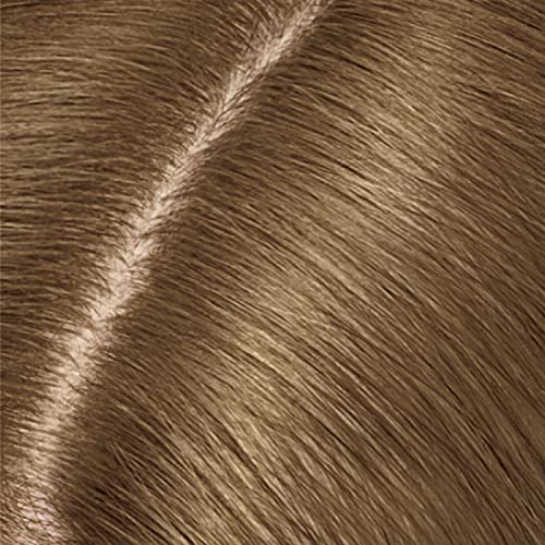 Clairol Root Touch-Up Temporary Concealing Powder, Dark Brown Hair Color, 1 Count