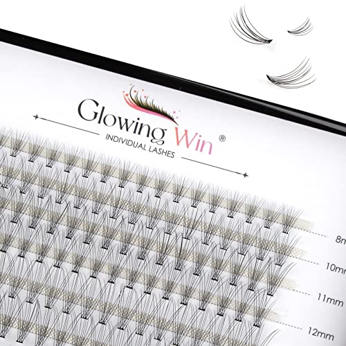 Glowingwin Individual Lashes Cluster Lashes 120 PCS Natural Look False Eyelashes Individual Soft DIY Lash Extensions At Home(20D Mix8-14mm 0.07C