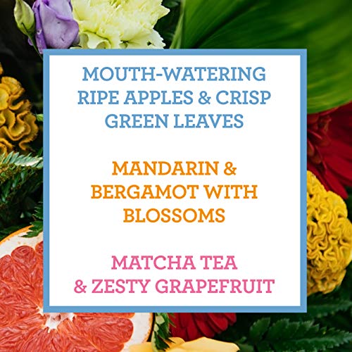 Cath Kidston Blossom Birds Assorted Hand Cream Trio Gift Set | Enriched With Shea Butter | Cruelty Free & Vegan Friendly | Travel Friendly Sizes