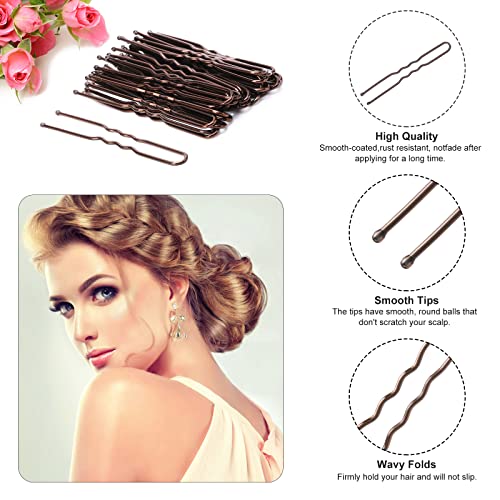 Cehony U Shaped Hair Pins, 200 Count Buns Waved U-shaped Hair Pins for Updos with Box for Women Lady Girls Bobby Pins French Historical Hair Pin