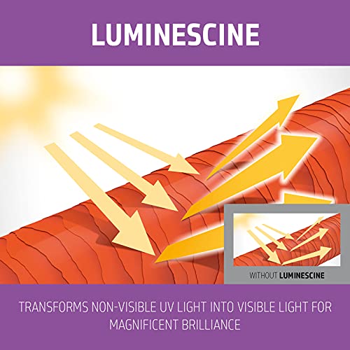 Goldwell Dualsenses Blonde & Highlights Anti-Yellow Conditioner 200ml