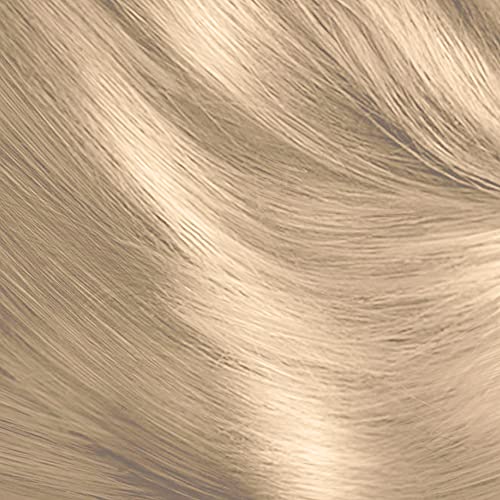 Schwarzkopf Oleo Intense Red Hair Dye, 3-Pack Permanent Oil Colour, No Ammonia, Covers Greys, Burgundy Red 4-23