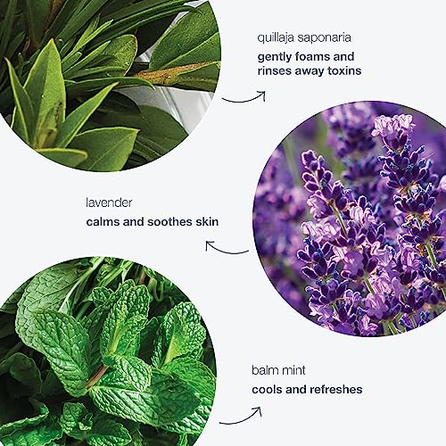 Dermalogica Special Cleansing Gel- Soap-Free, Foaming Gel Cleanser for All Skin Conditions - Removes Impurities without Stripping Skin - Soothes