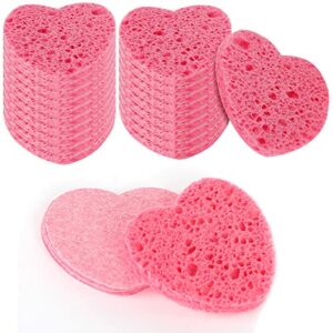 WLLHYF 20 Pieces Compressed Facial Sponges Natural Cellulose Facial Cleaning Sponges Professional Cosmetic Spa Sponges for Face Cleansing Makeup