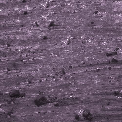 Julep Cosmetic Makeup Pencil Sharpener, Travel Friendly, Easy Cleaning Beauty Sharpener for Eyeliner, Lip Liner and Brow Pencils