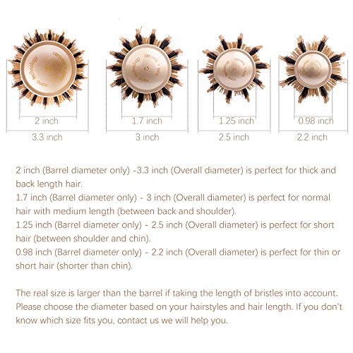 FIXBODY Round Barrel Nano Thermal Ceramic Coating & Ionic Tech Hair Brush with Boar Bristles, for Hair Blow Drying, Styling, Curling, Straighteni