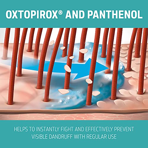 Goldwell Dualsenses Scalp Specialist Anti-Dandruff Shampoo 250ml