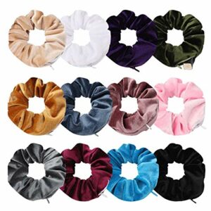 12 Pcs Velvet Hair Scrunchies with Zipper Pocket, Elastic Hidden Pocket Hair Ties Colorful Hair Bands with Zipper Pocket for Women Girls Gift Hai