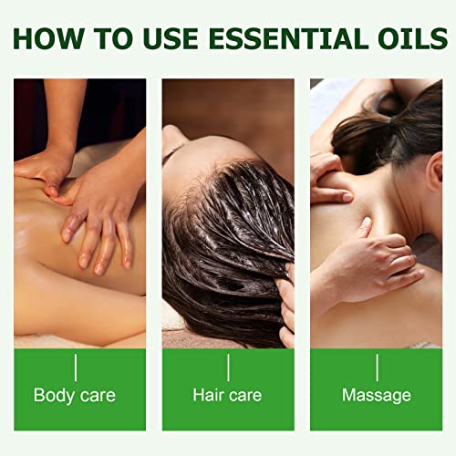 Find Back Rosemary Essential Oil Hair Growth & Skin Care, Improve Hair Loss and Nourishes Scalp and Wo, Rosemary Oil Hair Growth, Hair Growth Oil