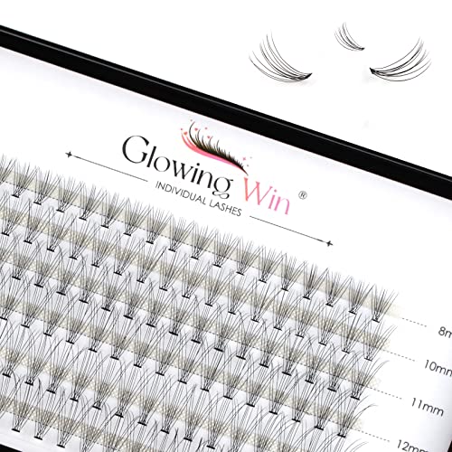 Glowingwin Individual Lashes Cluster Lashes 120 PCS Natural Look False Eyelashes Individual Soft DIY Lash Extensions At Home(20D Mix8-14mm 0.07C