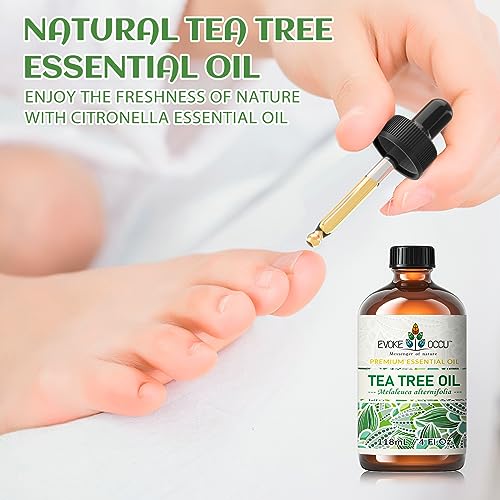EVOKE OCCU Tea Tree Essential Oil 118ml, Pure Tea Tree Oil for Diffuser Skin Hair Body Nail Care- 4 FL Oz