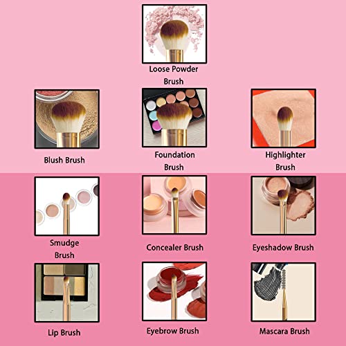 EDMIRE 10pcs Makeup Brushes including Foundation Brush, Eyeshadow and Eyebrow brushes. Essential Make up Brushes Set Gift for Women, Make up Brus