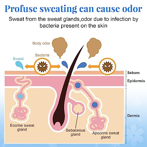 SBHEANGBA Sweat Absorbing Face Lotion, Antiperspirant for Face, Block Sweat and Oily Skin Control, Non-Staining, Effective Extra Protection For E