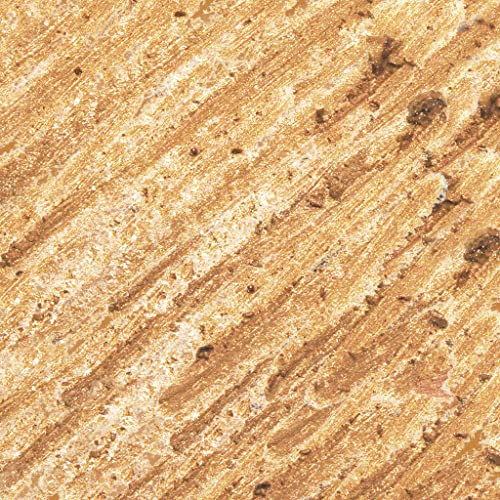 Julep Cosmetic Makeup Pencil Sharpener, Travel Friendly, Easy Cleaning Beauty Sharpener for Eyeliner, Lip Liner and Brow Pencils