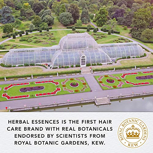 Herbal Essences bio:renew Aloe & Bamboo Strenghtening and Moisturizing Sulphate Free Hair Shampoo For Dull, Dry Damaged Hair 380ml