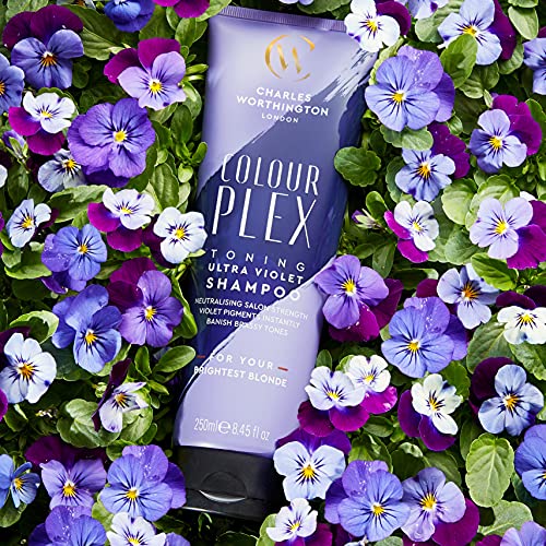 Charles Worthington Colourplex Toning Ultra Violet Shampoo, Purple Shampoo for Blonde Hair, Toning Shampoo for Blondes, Purple Pigment Shampoo, 2