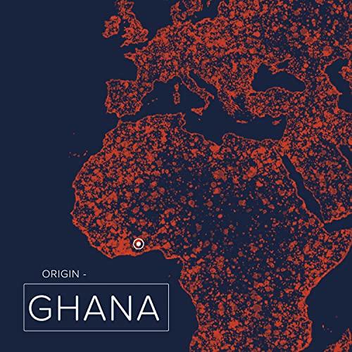 Naissance Organic Shea Butter (no. 306) 1kg - Pure, Natural, Certified Organic, Unrefined, Hand Kneaded, Vegan and Fragrance Free