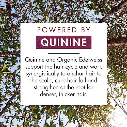 Klorane Strengthening Quinine and Organic Edelweiss Shampoo – Tired Hair, Hair Loss – Sulphate-Free, Vegan* Formula – 1x 400ml Bottle