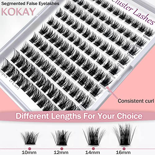 Cluster Lashes 120Pcs 10-16mm Individual Lashes D Curl Professional Lash Extension Kit, DIY False Eyelashes Fluffy Reusable Soft (10-16mm, 120 Cl