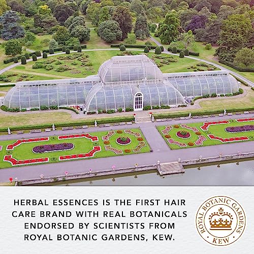 Herbal Essences Sulfate Free Shampoo and Conditioner Set, With Argan Oil for Dry & Curly Hair, Gifts for Women 380ml/275ml/100ml