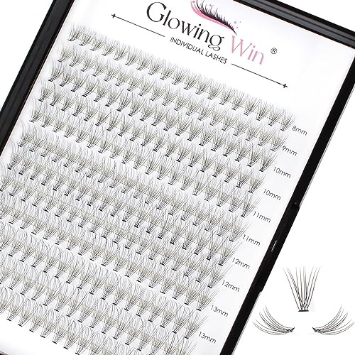 Glowingwin Individual Lashes Cluster Lashes 120 PCS Natural Look False Eyelashes Individual Soft DIY Lash Extensions At Home(20D Mix8-14mm 0.07C