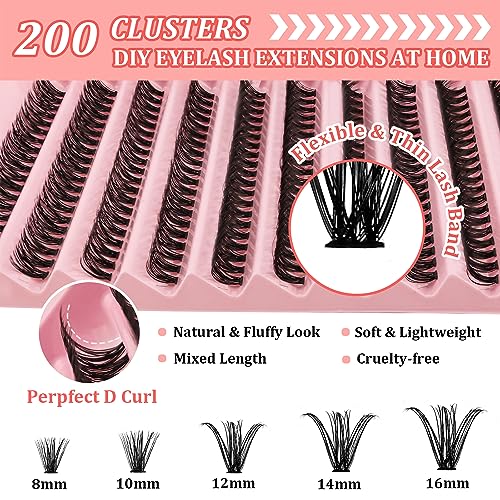 Leipple DIY Lash Extension Kit, Individual Lashes with Lash Glue Bond and Seal, 200 Cluster Lashes 8~16mm Natural Look Lash Clusters False Eyelas