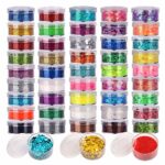 48 Pots Nail Art Glitter Set, FANDAMEI 24 Pots Extra Fine Glitter & 24 Pots Holographic Nail Sequins, Chunky Glitter for Wax Melt Resin Cosmetic,