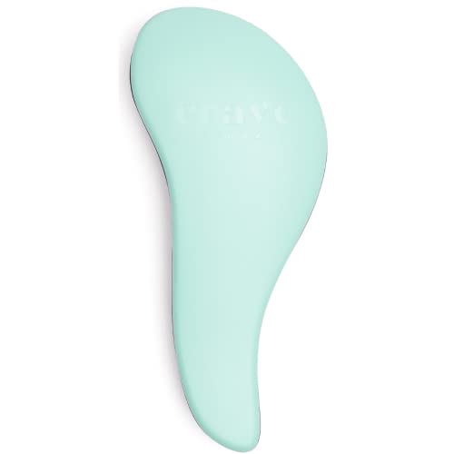 Crave Naturals Glide Thru Detangler Hair Brush, Tangle Teezer Hair Brush for Wet, Dry, Curly, and Straight Hair - Tangle Teezer Wet Detangler Bru