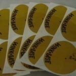 ORIGINAL WINKEASE DISPOSABLE EYE PROTECTION X5